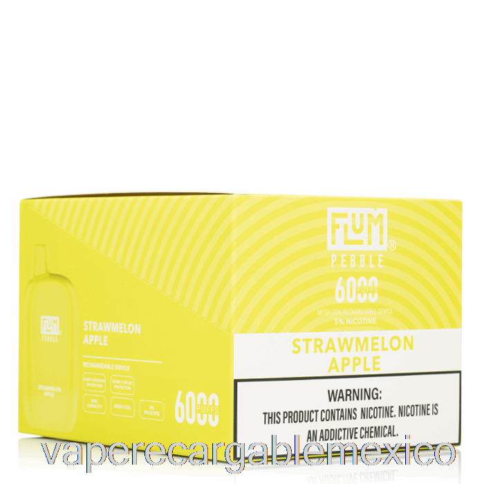 Vape Recargable [paquete De 10] Flum Pebble 6000 Desechable